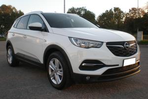 Opel Grandland 1.6 td 120 cv, tagliandi Opel