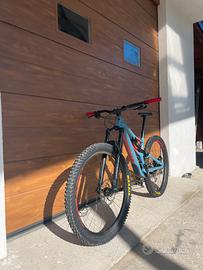 specialized stumpjumper