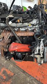 Motore Iveco sigla F1AE3481A TUTTE LE VARIANTI F1A