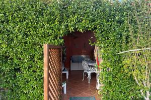 CASA A CAPO CODA CAVALLO