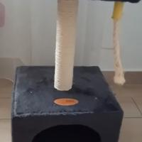 Tiragraffi con la cuccia 