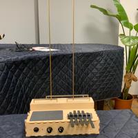 LeafAudio Microphonic Soundbox Mk2 - INTONA RUMORI