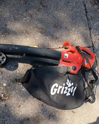 Soffiatore grizzly ELS2614-2 E