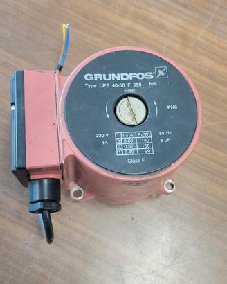 Pompa Circolatore Grundfos