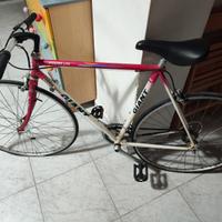 BICI GIANT