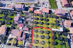 Terreno servito Cesano 1000 mq