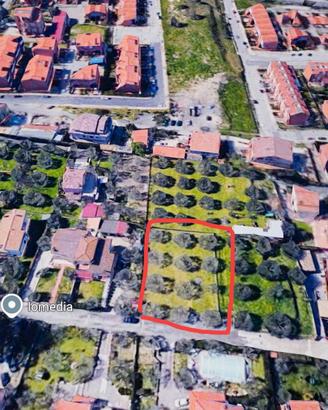Terreno servito Cesano 1000 mq