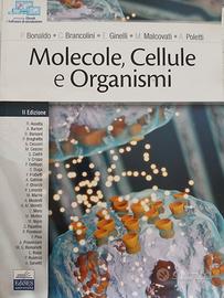 Molecole, Cellule e Organismi 
