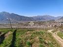 ter-agricolo-a-trento