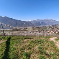 TER. AGRICOLO A TRENTO