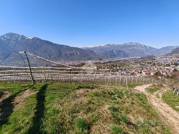 TER. AGRICOLO A TRENTO