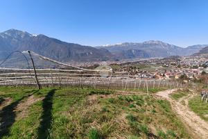 TER. AGRICOLO A TRENTO