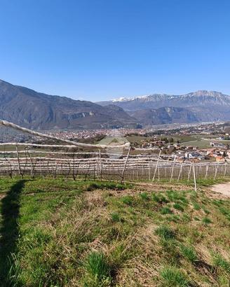 TER. AGRICOLO A TRENTO