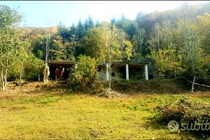 Terreno EDIFICABILE di 12.000 mq