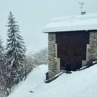 Casa vacanza in estate e inverno in Trentino