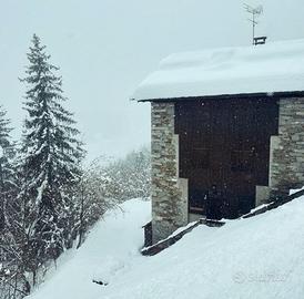 Casa vacanza in estate e inverno in Trentino