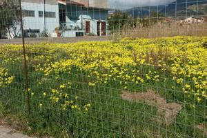 Terreno ad uso commerciale e residenziale