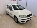 fiat-punto