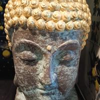 testa grande budda