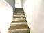 Immagine 7