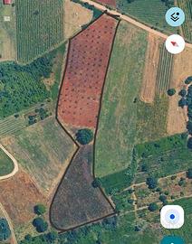 Terreno agricolo