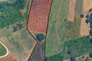 Terreno agricolo