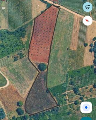 Terreno agricolo