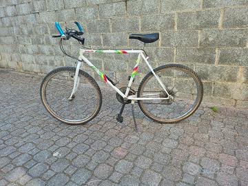 Bici Mountain bike raggio 26