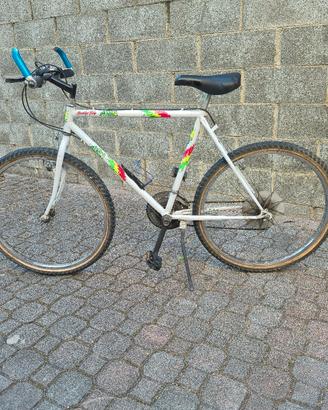 Bici Mountain bike raggio 26