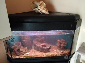 acquario
