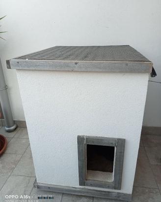 Cuccia per cani