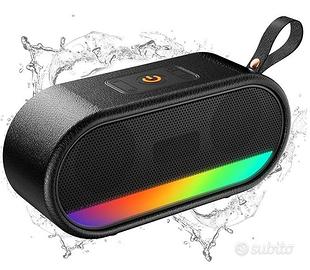 Cassa / altoparlante Bluetooth portatile