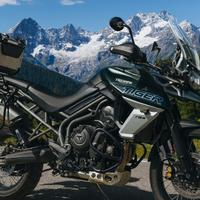 Triumph Tiger xcx abs 800 - 2019