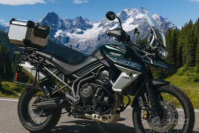 Triumph Tiger xcx abs 800 - 2019