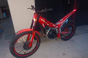 trial beta evo 300