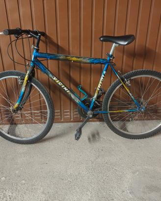 Mtb bicicletta Busto Arsizio Bici 