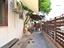 Immagine 21