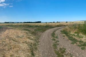 Seminativo Irriguo + Bosco 9 ha Rif.0856