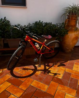 Bicicletta Kross