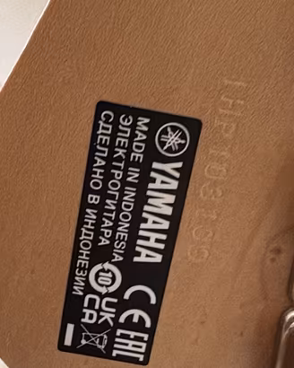 2 chitarre più amplificatore