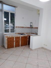 Studenti universitari