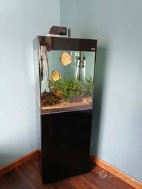 Acquario 130 litri con mobile