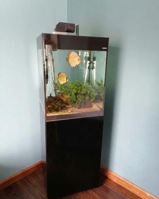 Acquario 130 litri con mobile