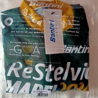 Maglia da ciclismo Santini Restelvio 2024