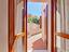 Immagine 14