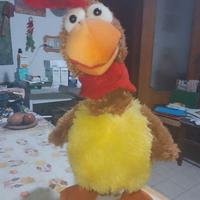 Gallo musicale che balla con batterie