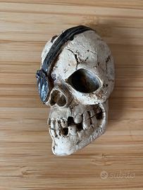 Calamita teschio