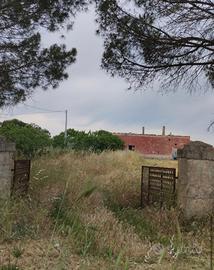 Fabbricato con terreno