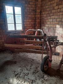 Ranghinatore Bongiorni