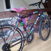 Bici mtb